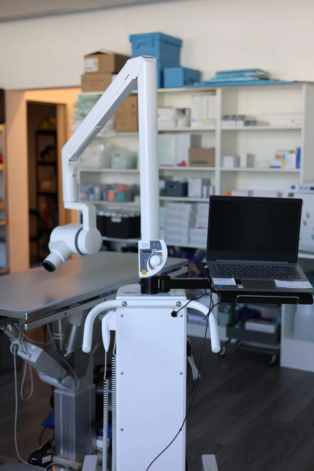 Dental Rx 4