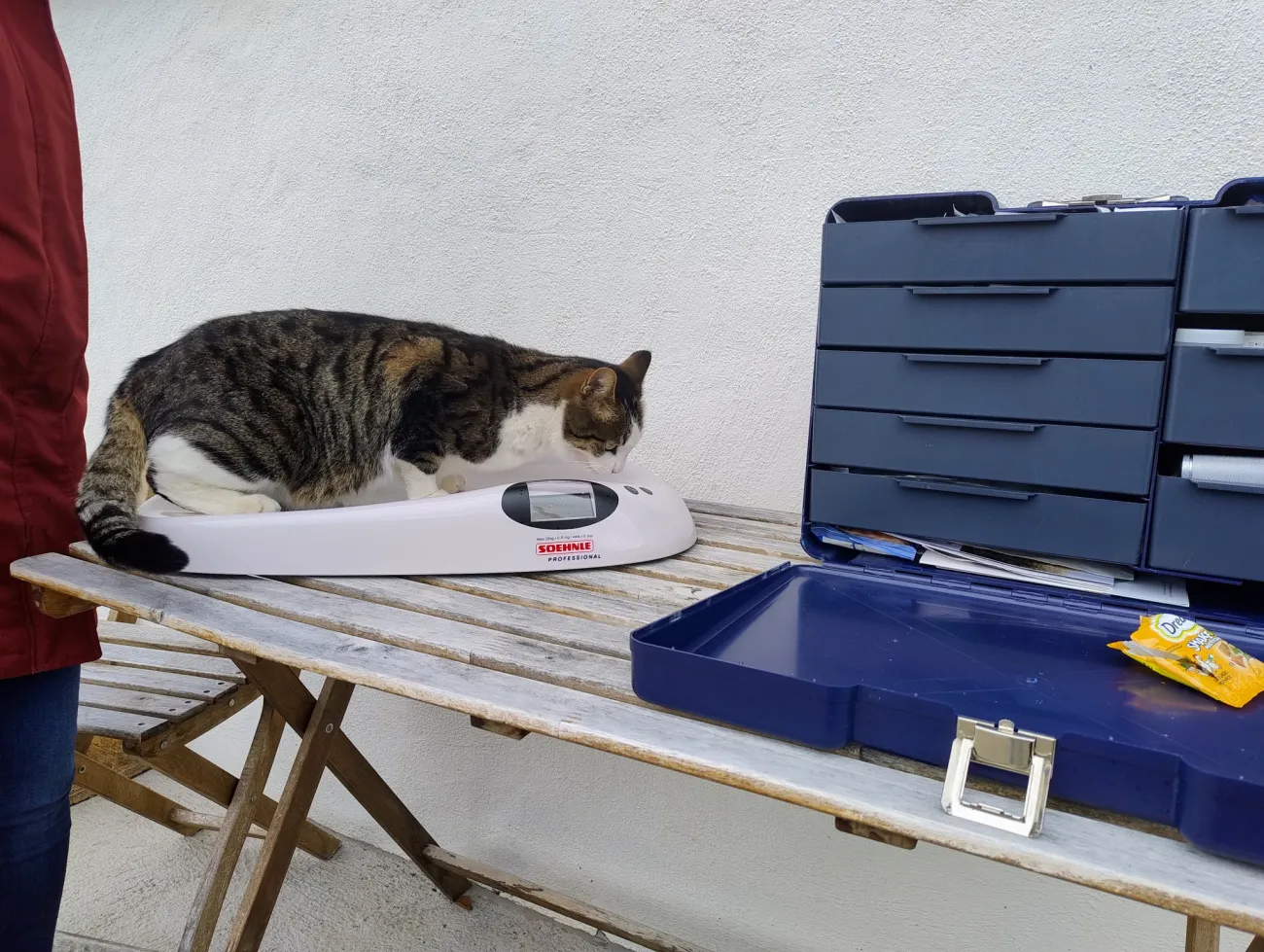 Hausbesuch 2