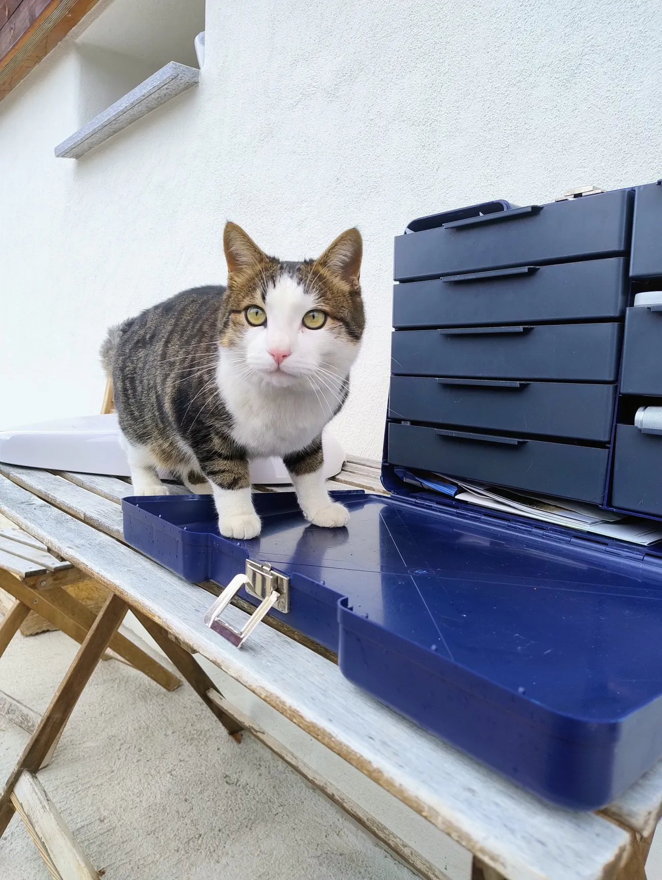 Hausbesuch