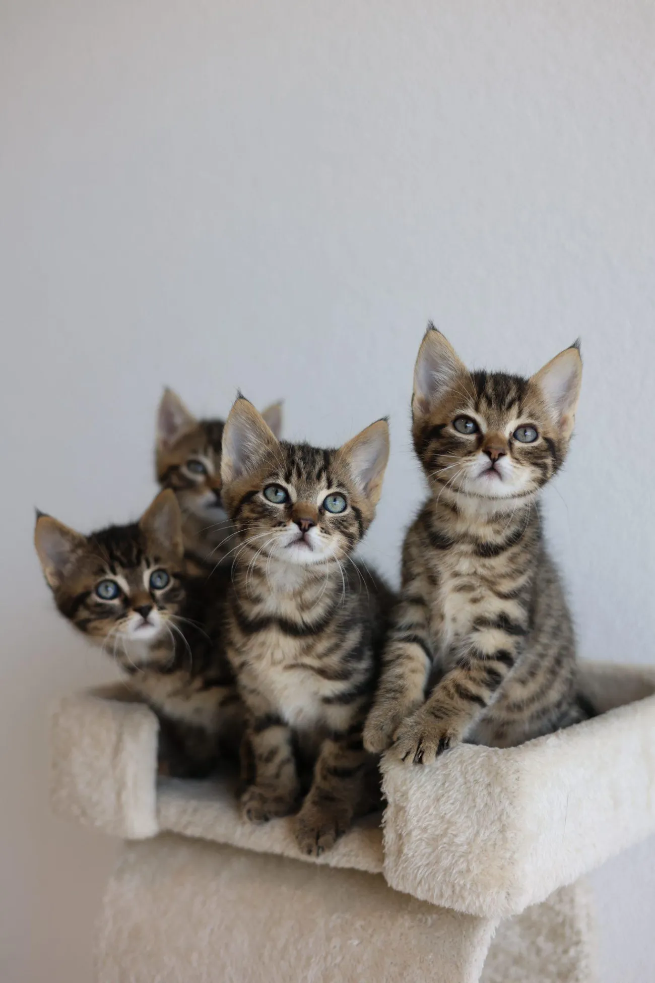Bilderkarussell 3